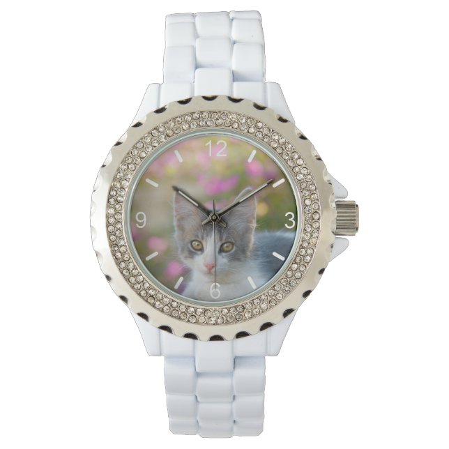 Leuke Bicolor Kitten Fluffy Cat Foto - wijzerplaat Horloge (Voorkant)