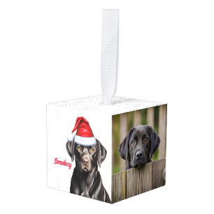 Leuke Black Lab Santa Dog Twee Foto Kerstmis Decoratie