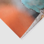 Leuke Blauwe Budgie Vogel op een Boomtak Tissuepapier (Detail)