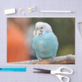 Leuke Blauwe Budgie Vogel op een Boomtak Tissuepapier (Craft)