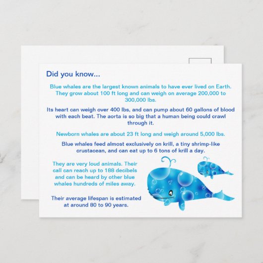 Leuke blauwe walvis feiten briefkaart (Voorkant / Achterkant)