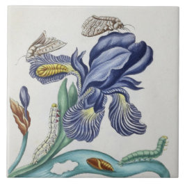 Leuke  bloemen en insecten keramische tegel tegeltje