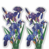 Leuke bloemige waterverf Iris Cadeau Duo Sticker (Voorkant)