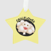 Leuke bloemkool ornament (achterkant)