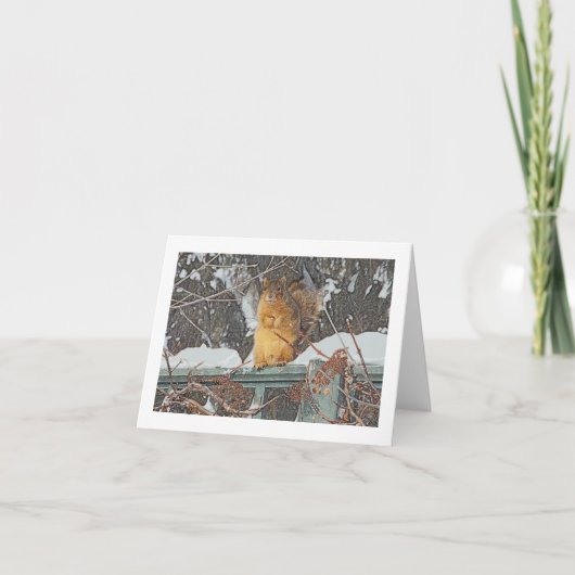 "LEUKE BONTEEKHOORN OP" SNEEUW VAN DE KAART (Voorkant)
