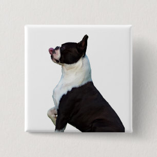 Leuke Boston Terrier Square Button