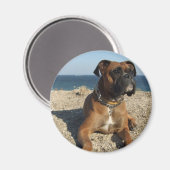 Leuke Boxer Hondenmagneet Magneet (Voorkant / Achterkant)