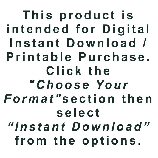 Leuke Bruidsfeest Fotocabine Teal Printbare Access Poster