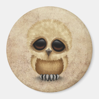 Leuke bruine Baby Uil Chic op verouderde textuur Magneet