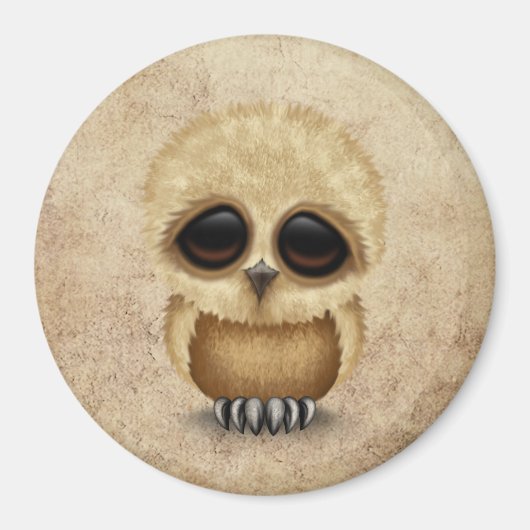 Leuke bruine Baby Uil Chic op verouderde textuur Magneet (Voorkant)