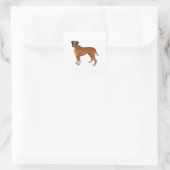 Leuke Bruine Boxer Hondenras Ontwerp Vierkante Sticker (Tas)