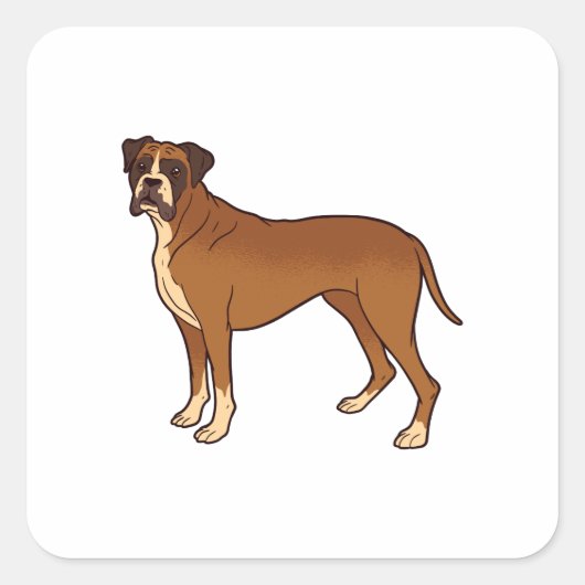 Leuke Bruine Boxer Hondenras Ontwerp Vierkante Sticker (Voorkant)