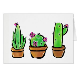 Leuke Cactus cactussen vetplanten