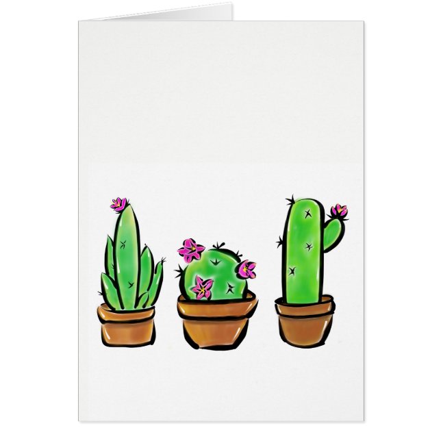 Leuke Cactus cactussen vetplanten (Voorkant)