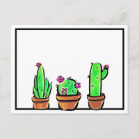 Leuke Cactus cactussen vetplanten