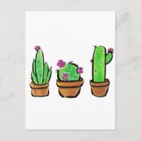 Leuke Cactus cactussen vetplanten