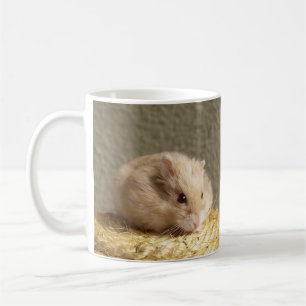 Leuke Campbells Dwerg Russische Hamster Koffiemok