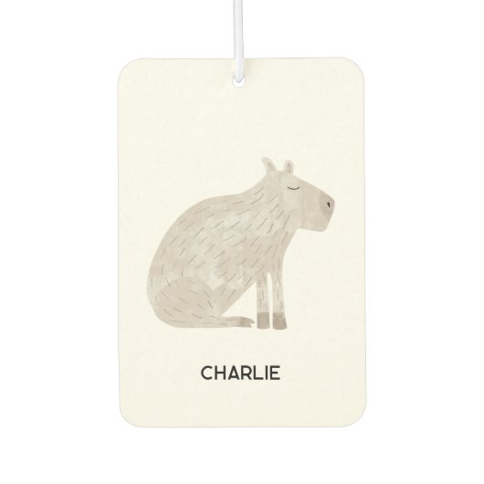 Leuke Capybara gepersonaliseerde naam Luchtverfrisser (Voorkant)