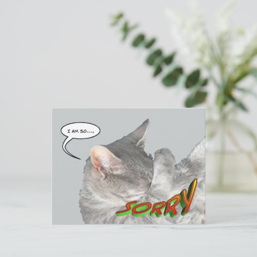 Leuke Cat Appology Briefkaart (Staand voorkant)