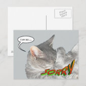 Leuke Cat Appology Briefkaart (Voorkant / Achterkant)
