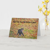 Leuke Cat Art Pun Funny Birthday Kaart (Gele Bloem)