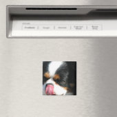 Leuke Cavalier Spanial Dog Magnet (Insitu (Vaatwasser))
