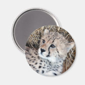Leuke Cheetah Cub Foto Magneet (Voorkant / Achterkant)
