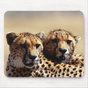 Leuke Cheetah Pair Muismat