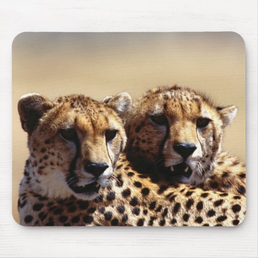 Leuke Cheetah Pair Muismat (Voorkant)