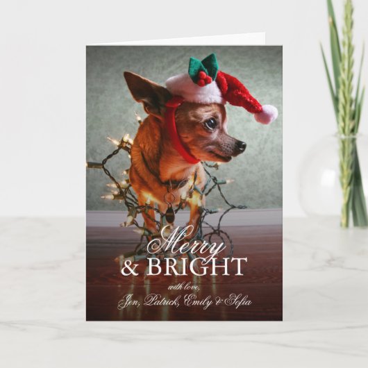 Leuke Chihuahua met een Pet van de Kerstman Feestdagen Kaart (Voorkant)