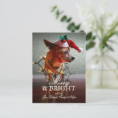 Leuke Chihuahua met een Pet van de Kerstman Feestdagenkaart (Staand voorkant)