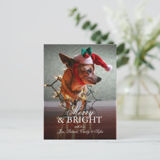 Leuke Chihuahua met een Pet van de Kerstman Feestdagenkaart (Staand voorkant)