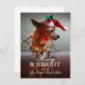 Leuke Chihuahua met een Pet van de Kerstman Feestdagenkaart (Voorkant / Achterkant)