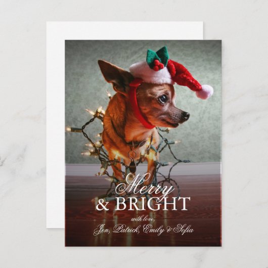 Leuke Chihuahua met een Pet van de Kerstman Feestdagenkaart (Voorkant / Achterkant)
