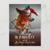 Leuke Chihuahua met een Pet van de Kerstman Feestdagenkaart (Voorkant)