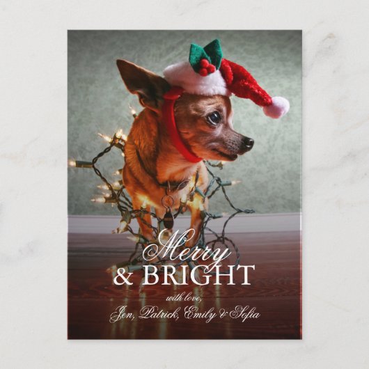 Leuke Chihuahua met een Pet van de Kerstman Feestdagenkaart (Voorkant)