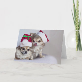 Leuke chihuahuasKerstkaart Feestdagen Kaart