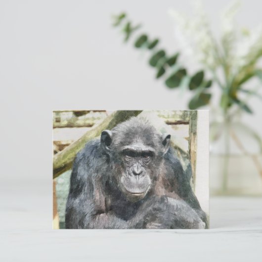 LEUKE CHIMPANSEES BRIEFKAART (Staand voorkant)