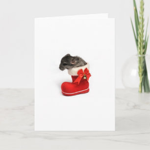 Leuke Chinchilla in de Kous van Kerstmis Feestdagen Kaart