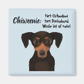 Leuke Chiweenie Appreciation Chihuahua Dachshund Magneet (Voorkant)
