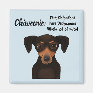 Leuke Chiweenie Appreciation Chihuahua Dachshund Magneet
