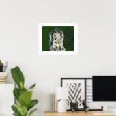 Leuke Close-up van deze achtertuin Cute Eekhoorn K Poster (Thuiskantoor)