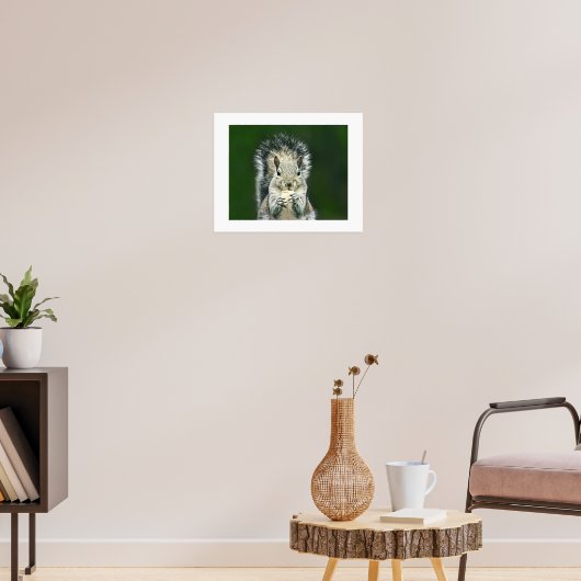Leuke Close-up van deze achtertuin Cute Eekhoorn K Poster (Woonkamer 3)