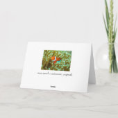 Leuke Clownfish op het Wenskaart van de Zeeanemoon Kaart (Achterkant)