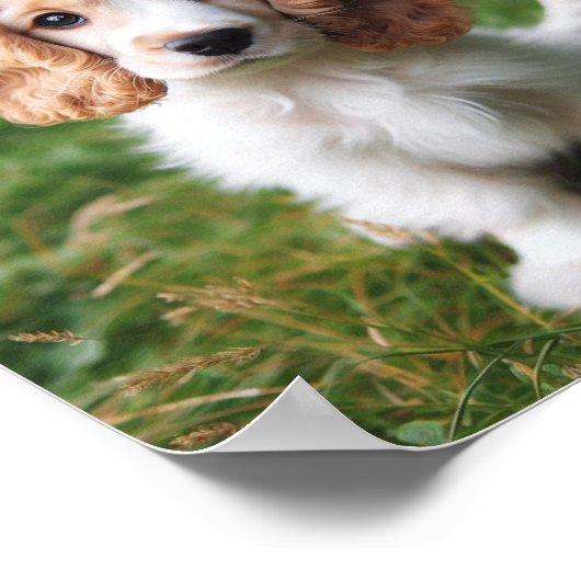 Leuke Clumber Spaniel puppy Poster (Hoek)
