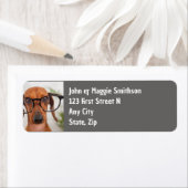 Leuke Dachshund Hond met bril Pet Etiket (Insitu)