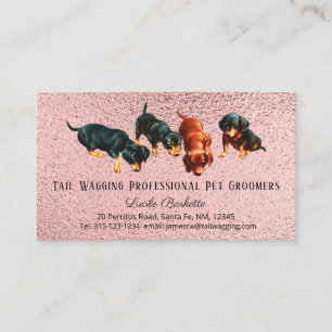 Leuke Dachshund Pups Pet Grooming Chique Roos Goud Visitekaartje