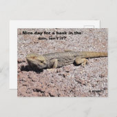 Leuke dag voor een zonnetje briefkaart (Voorkant / Achterkant)