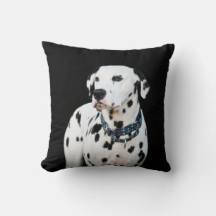 Leuke Dalmatische Hond Vlekken zwarte achtergrond Kussen