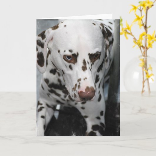 Leuke Dalmatische Wenskaarten Kaart (Gele Bloem)
